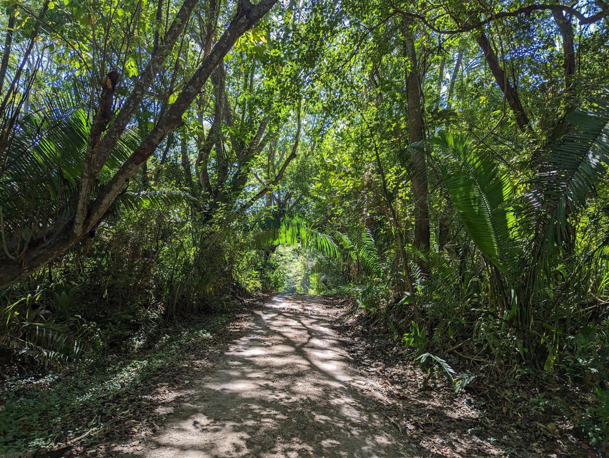 Sámara Paraiso Cocodrilo Lodge - Spirit Of Nature المظهر الخارجي الصورة