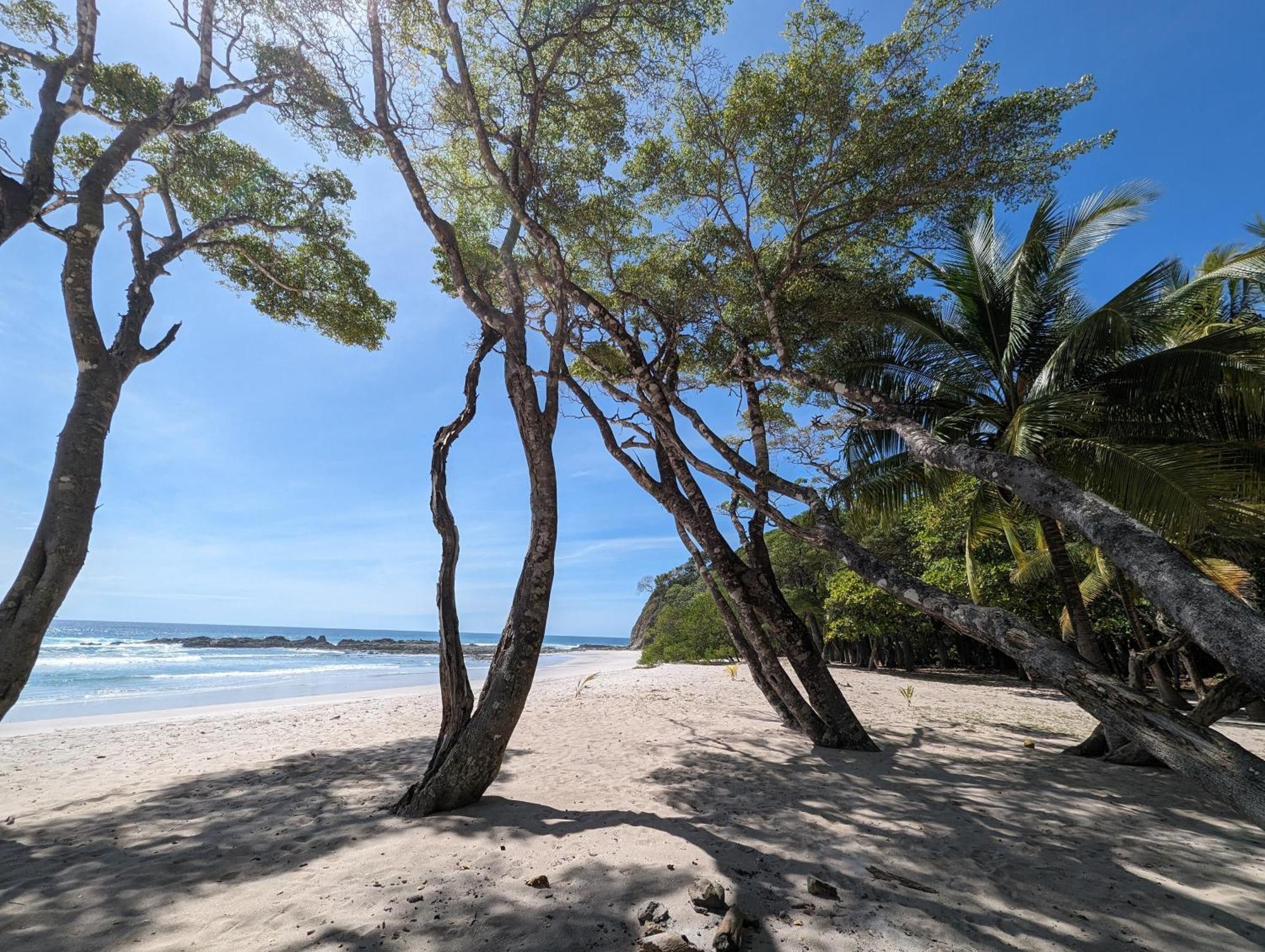 Sámara Paraiso Cocodrilo Lodge - Spirit Of Nature المظهر الخارجي الصورة