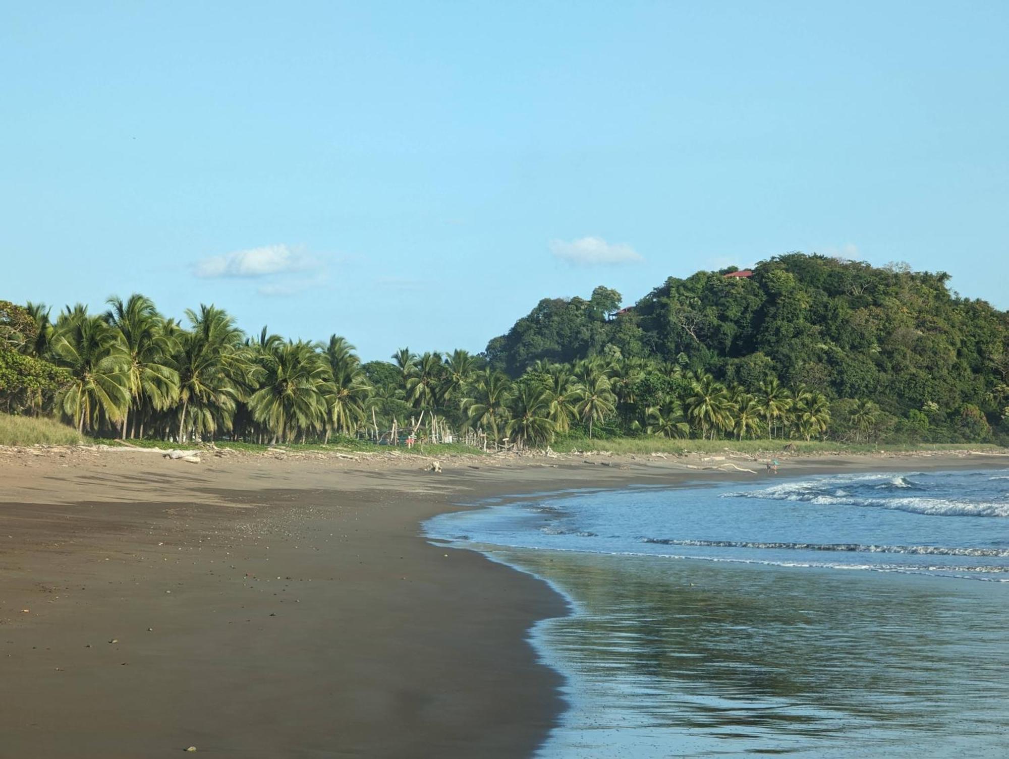 Sámara Paraiso Cocodrilo Lodge - Spirit Of Nature المظهر الخارجي الصورة