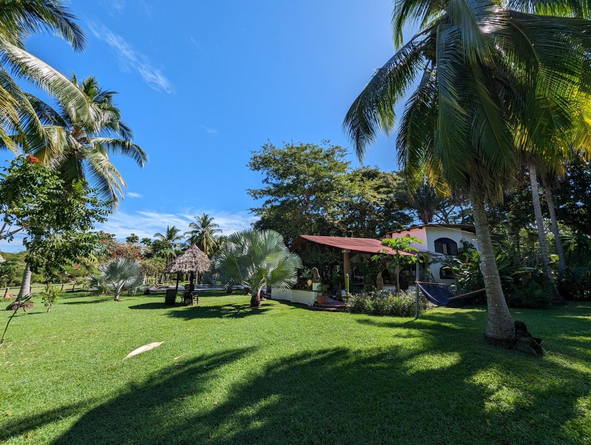 Spirit Of Jungle Lodge Sámara المظهر الخارجي الصورة