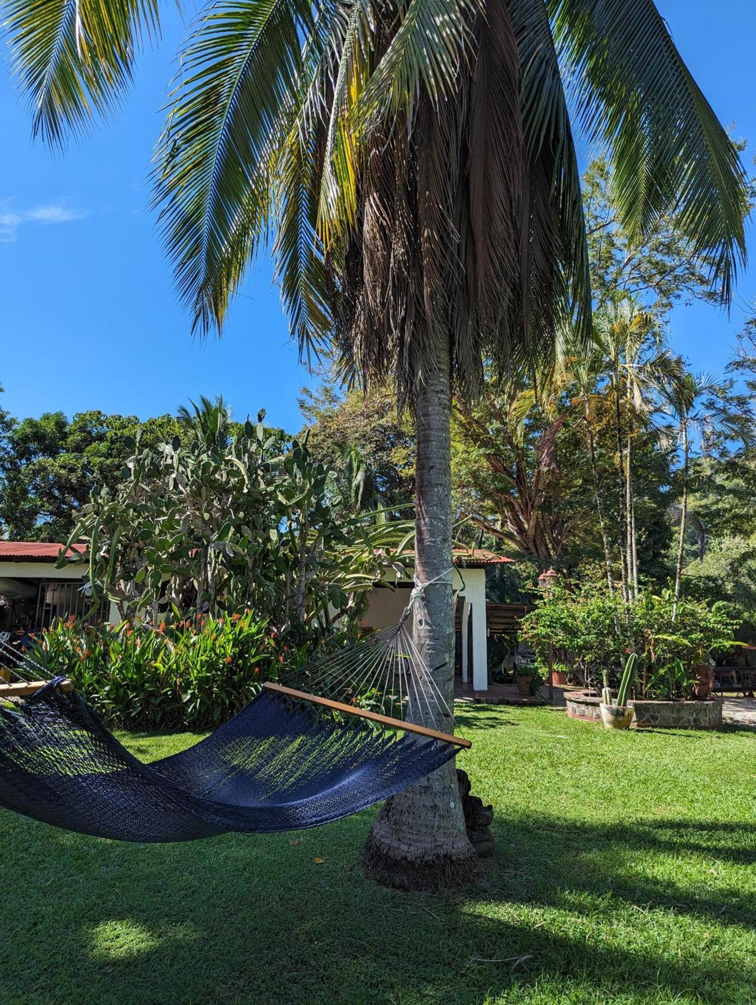 Sámara Paraiso Cocodrilo Lodge - Spirit Of Nature المظهر الخارجي الصورة